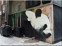 NS5865 : Gordon Lane giant panda by Thomas Nugent