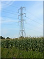 ST4442 : Pylon in maize field on Godney Moor by Edwin Graham