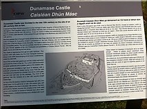 S5398 : Info board for Dunamase Castle by Darrin Antrobus