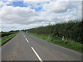 A loose cow running along the A710