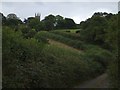 Valley north of Sampford Courtenay