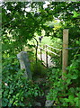 SE0813 : Footbridge on the Colne valley Circular Walk by Humphrey Bolton
