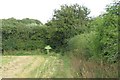 The footpath to Combe