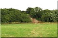 The footpath to Combe