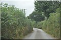 Mid Devon : Country Lane