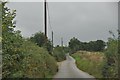 Mid Devon : Country Lane