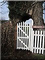 Path through a tree