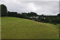 Mid Devon : Grassy Hillside