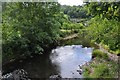 Oakfordbridge : The River Exe