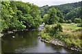 Oakfordbridge : The River Exe