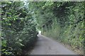 Mid Devon : Country Lane