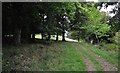 West Somerset : Grassy Field & Trees