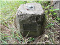 Ordnance Survey Fundamental Bench Mark