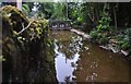 West Somerset : Mill Leat