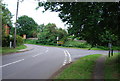 Newark Lane & Polesden Lane