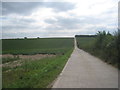 Farm track to Wold Dyke Farm