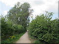 Bridleway alongside the canal