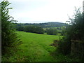 Farmland, Meerhay