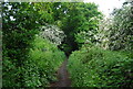 Tandridge Border Path, Weatherhill