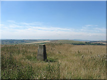 TQ0909 : Trig Point S5997, Blackpatch Hill by Simon Carey