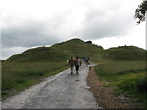 NZ2377 : Earth Sculpture, Northumberlandia by Willie Duffin