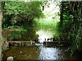 The Leat, upstream of a footbridge