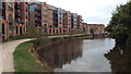 River Medway, Tonbridge