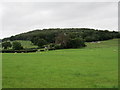 Stoneyfold, near Bosley