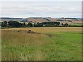 Mixed farmland near Harden Mains