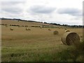 Round bales