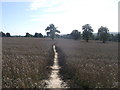 Footpath to Manor Farm