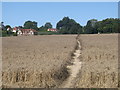 Footpath to Frant