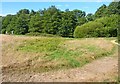 Nea Meadows, Highcliffe, Dorset