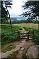 Gate and track leading to North Lees