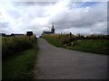 Lane from clifftop path to St Cyrus Church