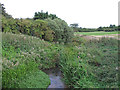 River Chelmer, Great Dunmow