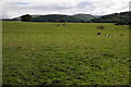 Farmland near Llanfair Dyffryn Clwyd