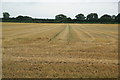 Harvested field near Carlton Miniott