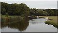 TQ6447 : River Medway near Paddock Wood by Malc McDonald