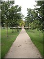 A path in Scott Park