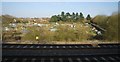 Allotments by the West Coast Main Line