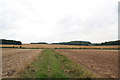 Footpath to Burwell from Little Cawthorpe