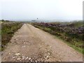 Track to Port an Eas, Islay