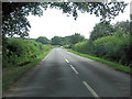 Ringwood Road north of New Close Farm