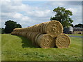 TL1388 : Rolls of straw near Hall Farm, Washingley by Richard Humphrey