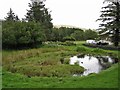 NH1658 : Achnasheen duck pond by Richard Dorrell