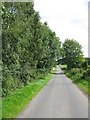 Country Road near Corra Farm