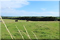 Farmland near Millerston