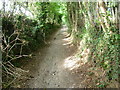 Wicken Lane - an ancient sunken trackway