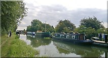 SK7894 : Approaching West Stockwith Basin on Chesterfield Canal by Chris Morgan